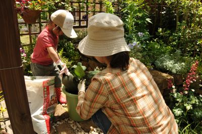 やさいを植える