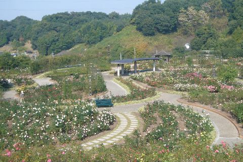 花フェスタ記念公園２００９－１
