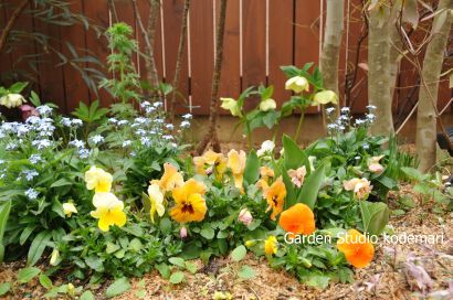20130323DSC_0175b