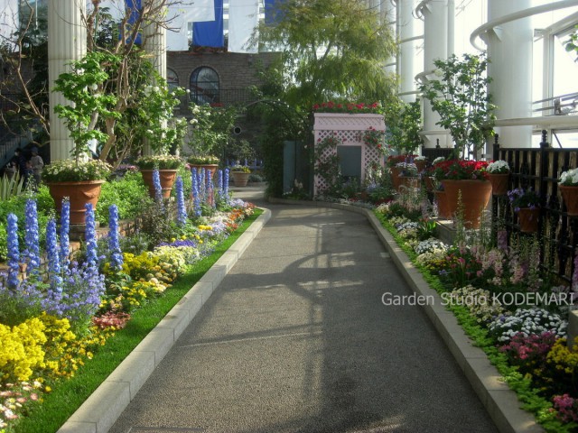 1-IMG_0633bb